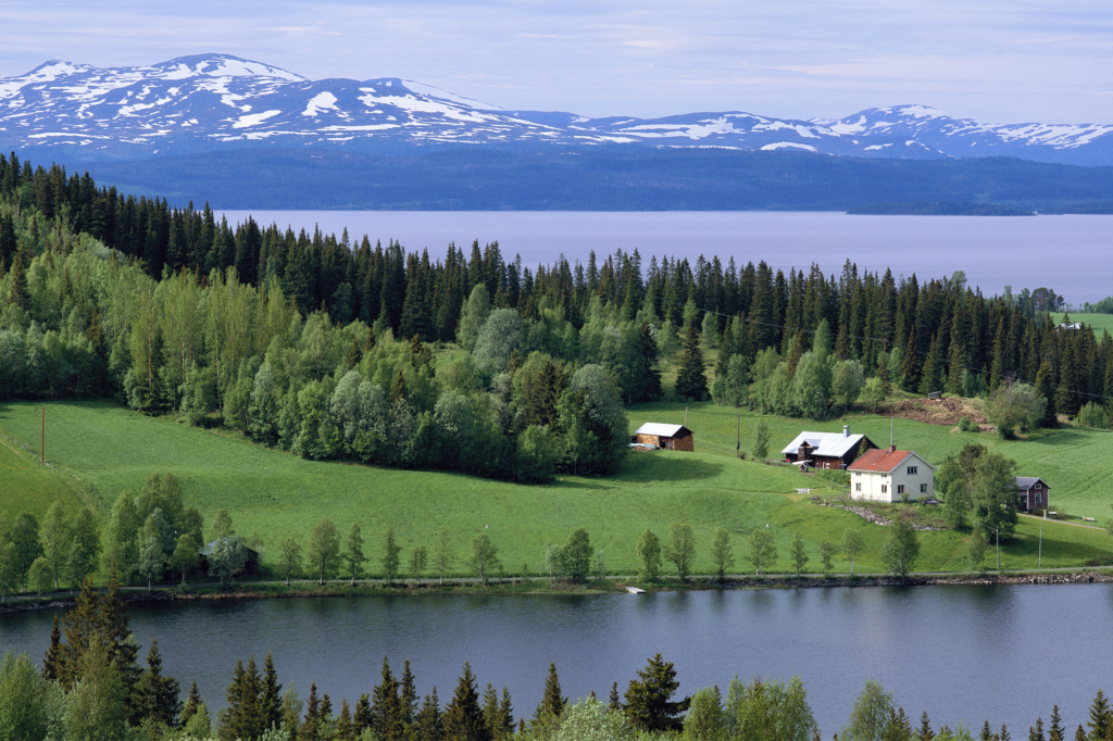 Flytta till Jämtland- Tips och råd inför din flytt!
