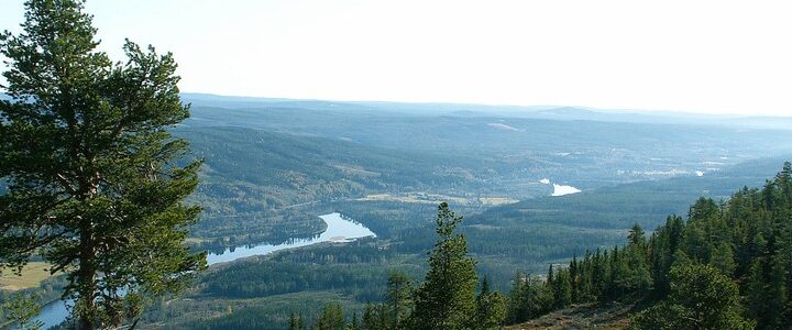 Flytta till Värmland